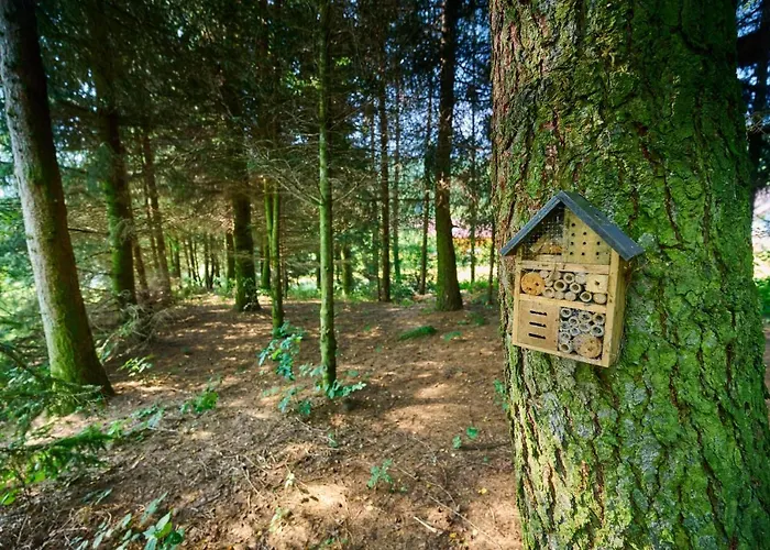 Ten Dom W Ludwikowicach Klodzkich
