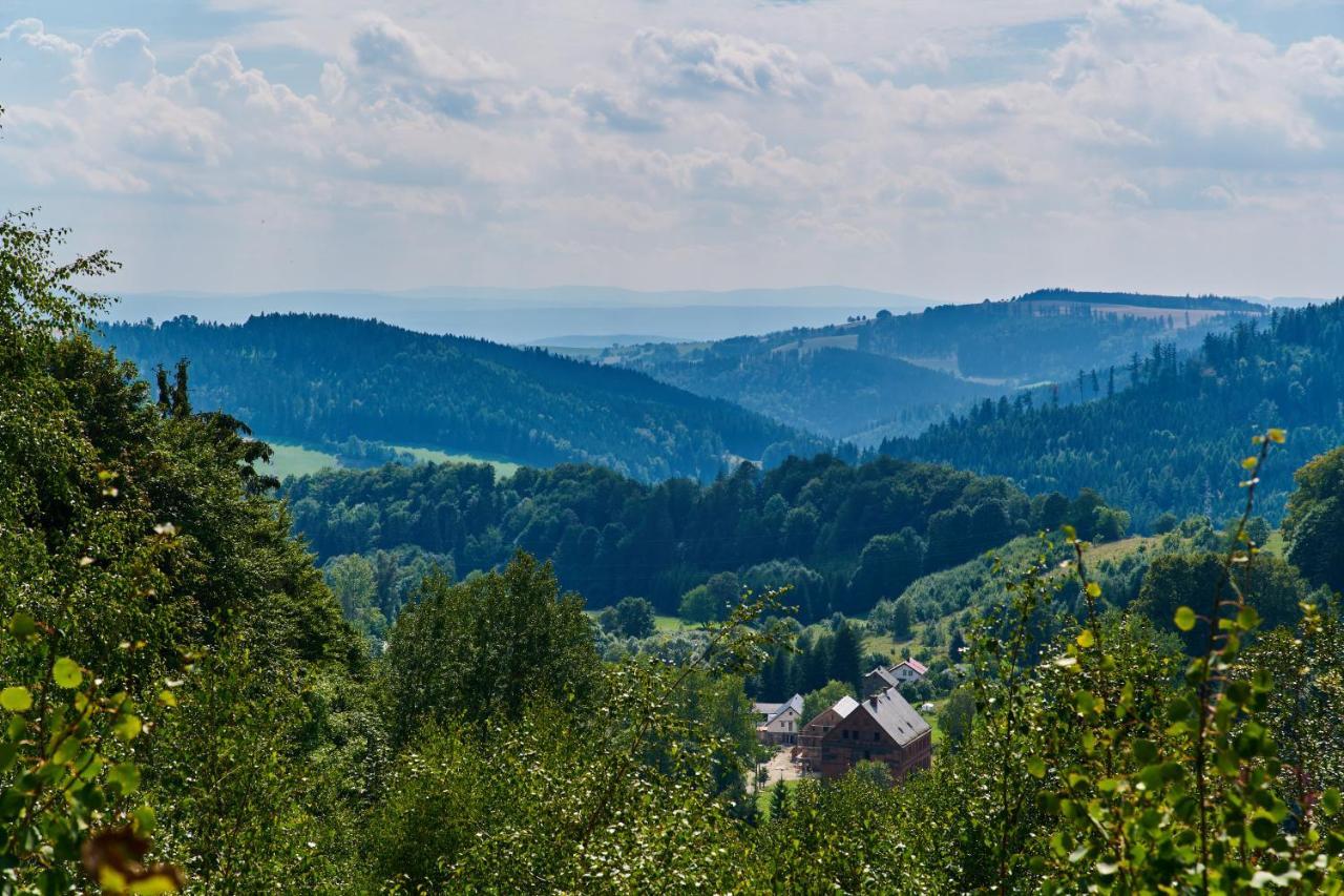 Villa Dom W Ludwikowicach Klodzkich